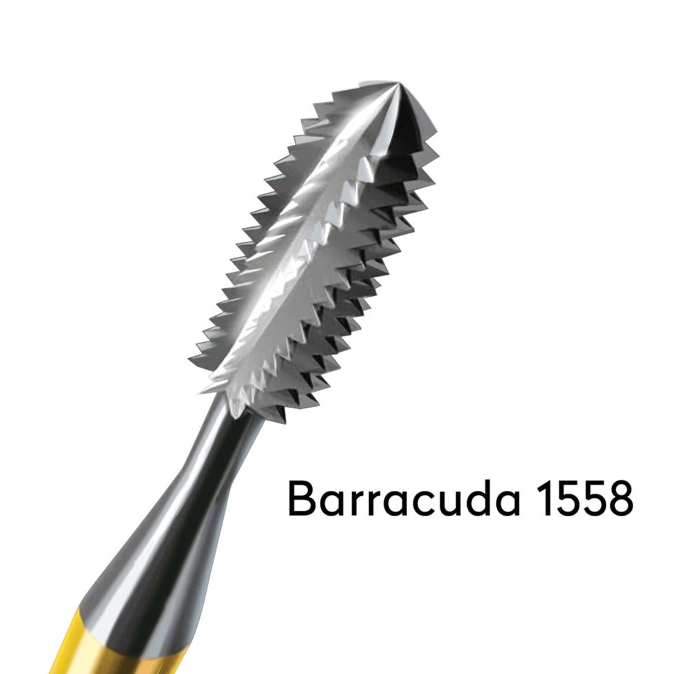 Barracuda Metal Burs