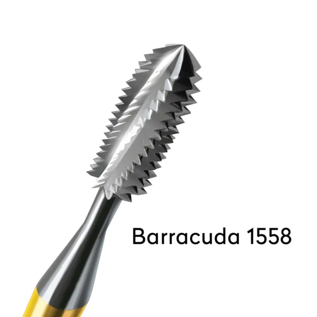 Barracuda Metal Burs