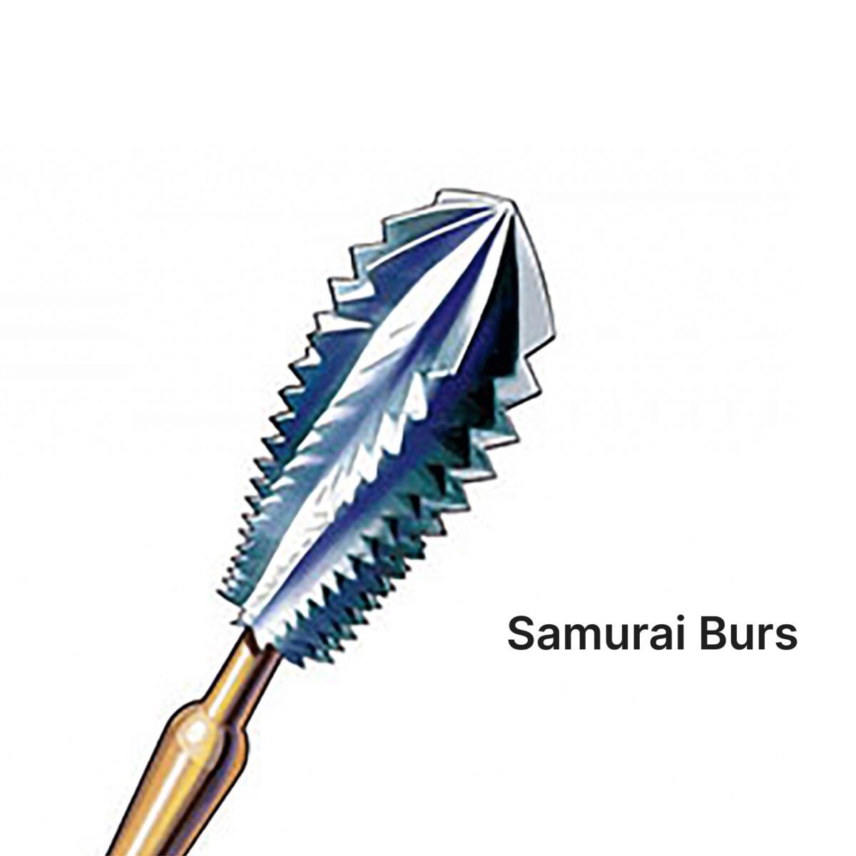 Samurai Burs